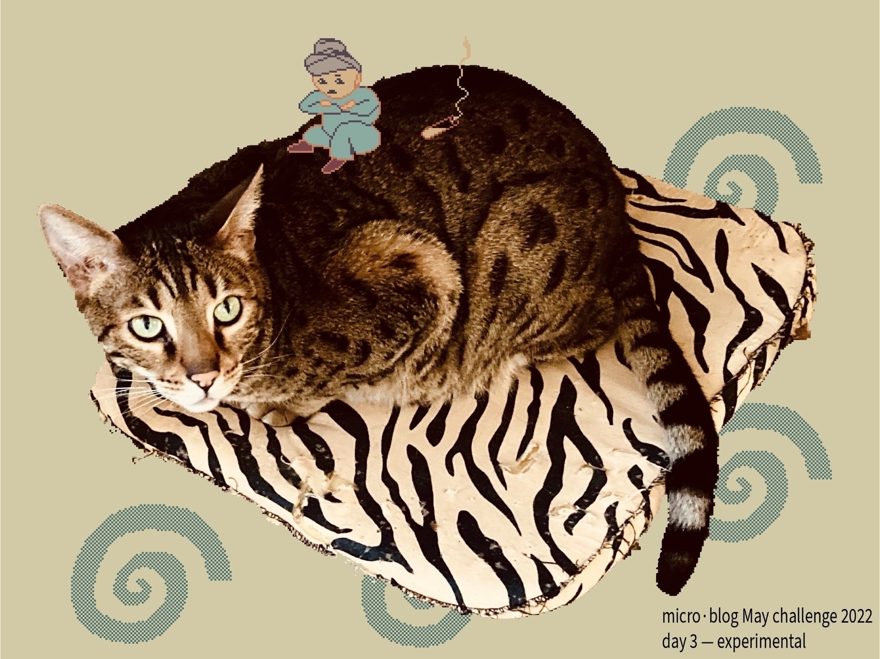 cat on cushion with magician in pixel art on its back