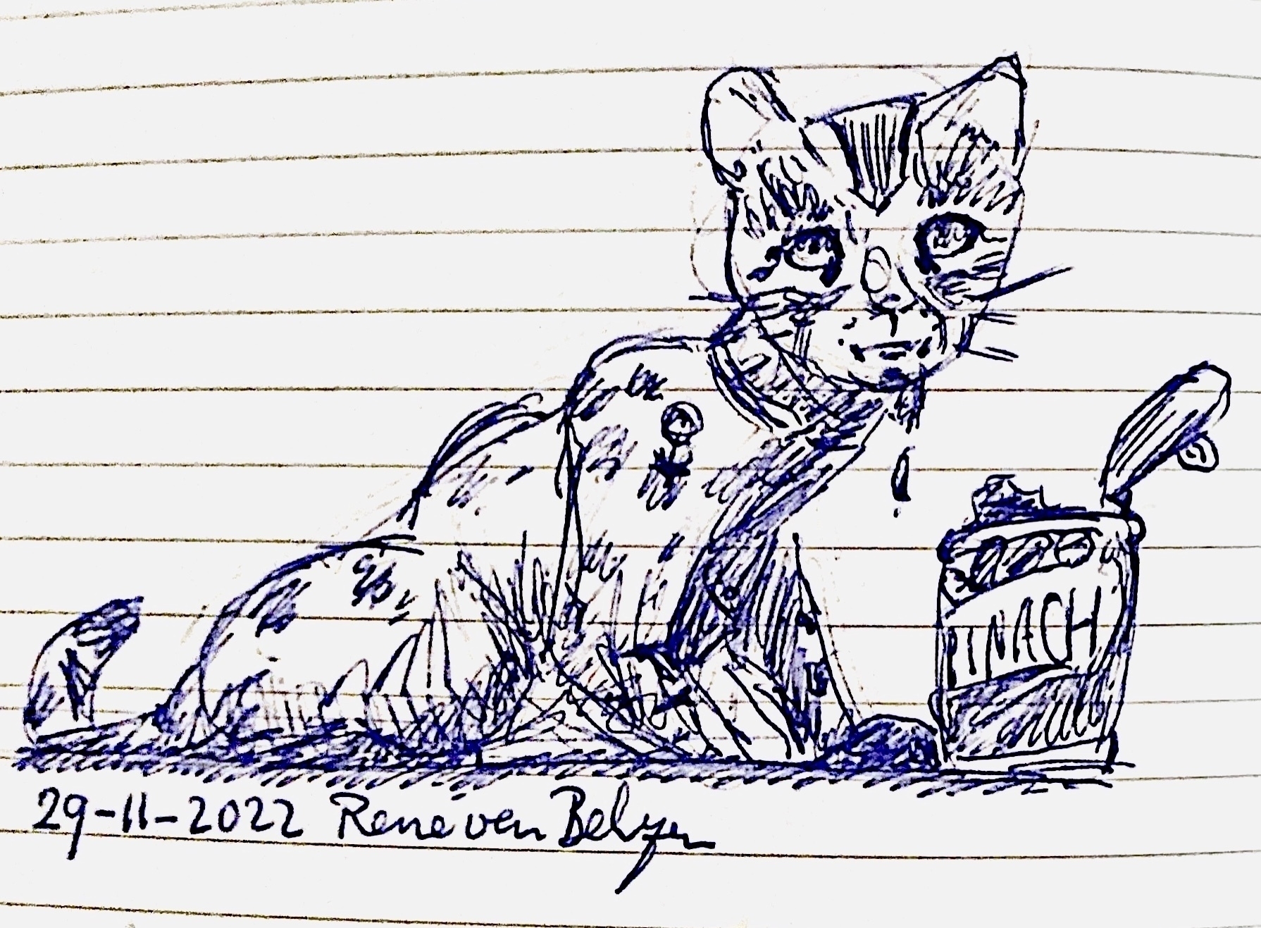 ballpoint sketch of cat eating spinach from a can