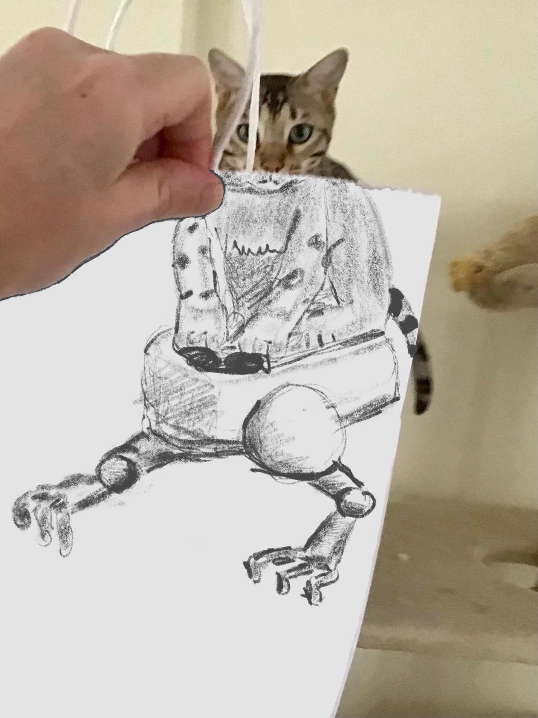 Photo of cat with pencil drawn vehicle with bird legs